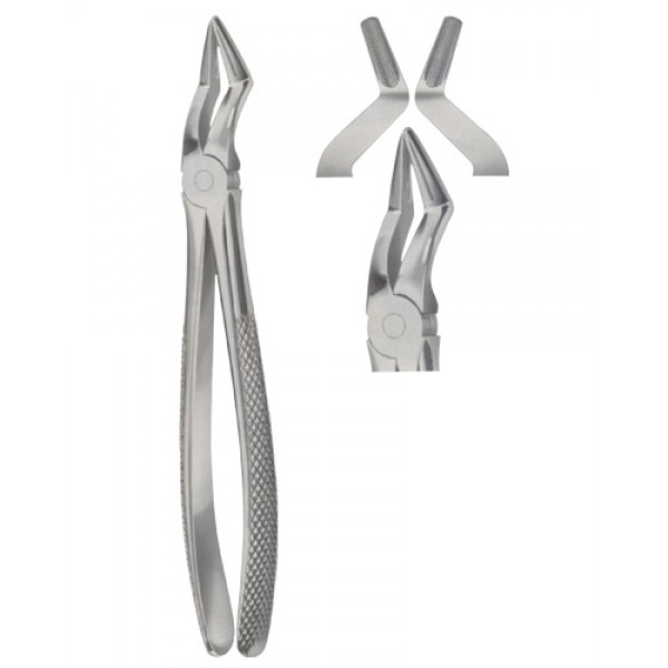 Tooth Extracting Forceps
